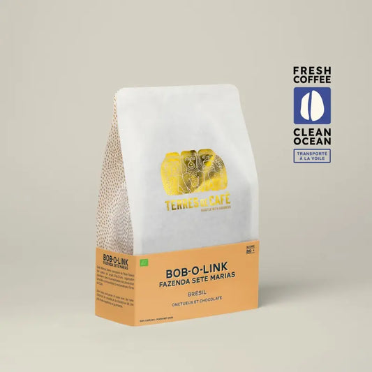 TERRES DE CAFÉ Bob-O-Link Bio en grain 250gr